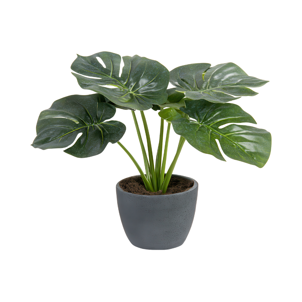 dein abschnittstext(10)