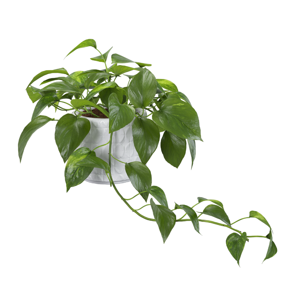 dein abschnittstext(11)