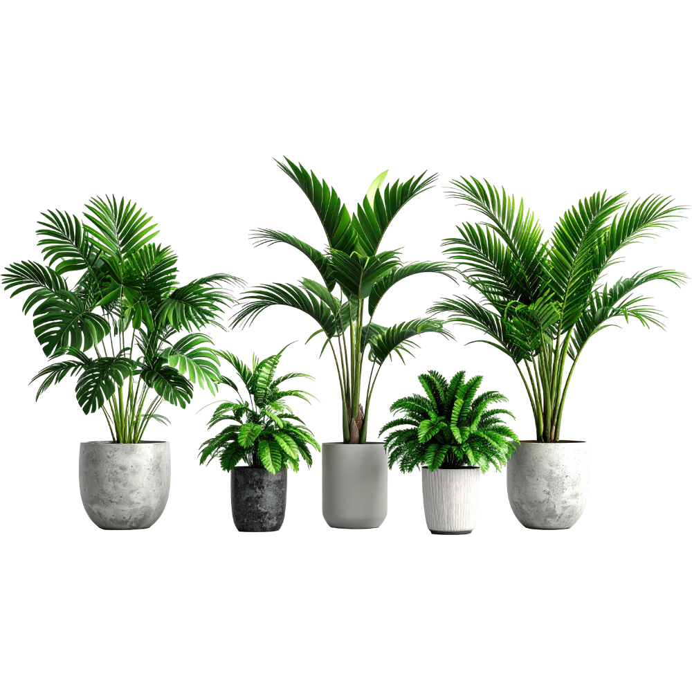 dein abschnittstext(12)