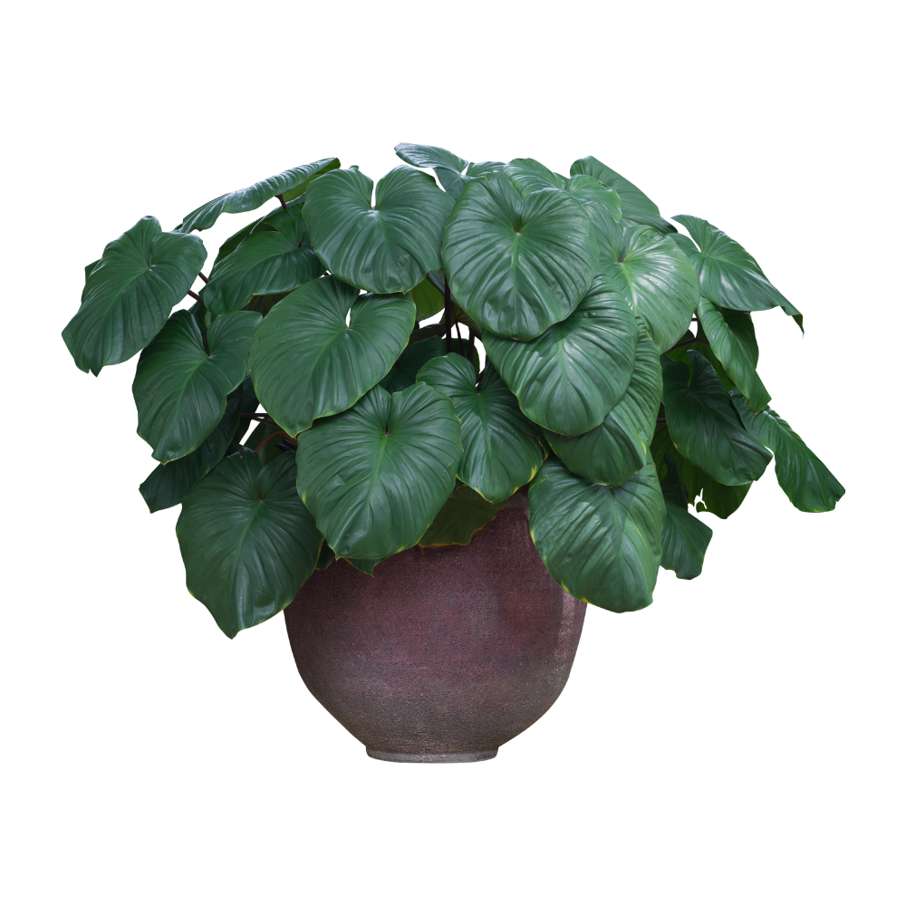 dein abschnittstext(9)