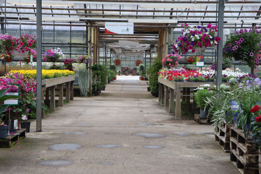gewächshaus